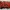 RUSH Logo