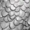 owl-0