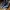 Winwing Ursa Minor Airline Joystick Mount
