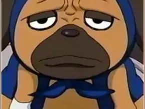 Ninja dog