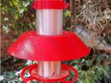 Bird Feeder-0