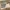 Box_161x94_26AA_30AAA