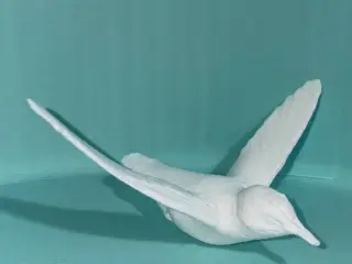 Hummingbird