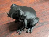 Pfeilgiftfrosch-0