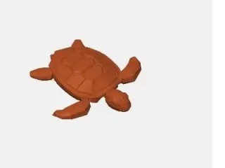 Sea turtle