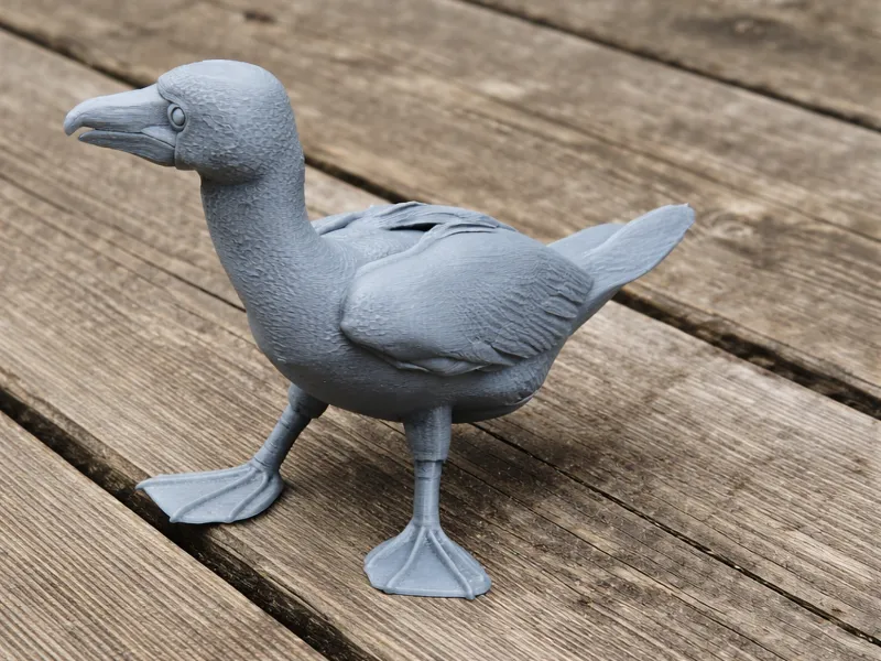Blue-footed Booby