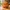 Pumpkin Owl — Autumn Figurine — No AMS