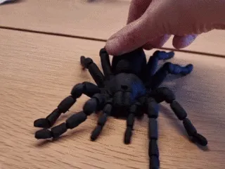 Articulated flexi tarantula