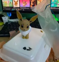 Evee - Pokemon - Fan Art-5