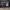 MLB - Arizona Diamondbacks Ketel Marte display