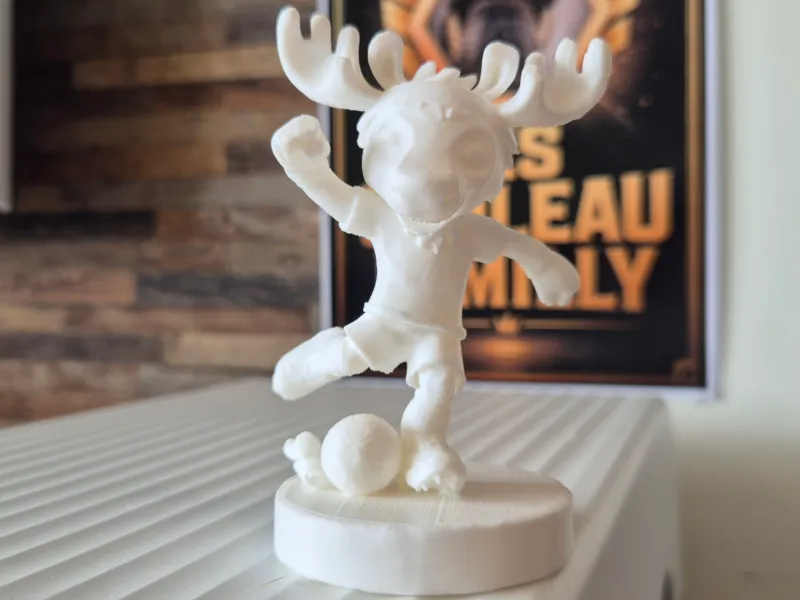 Maple coupe du monde 2026 usa