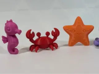 zeedieren sorteren