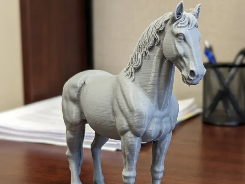 cavallo