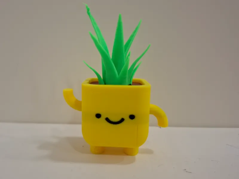 funny plant