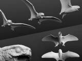 Anurognathus ammoni, tiny pterosaur-0