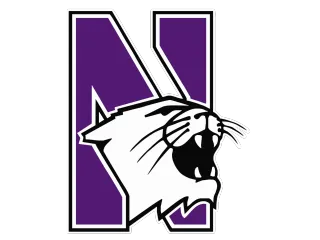 northwestern-wildcats-alternate