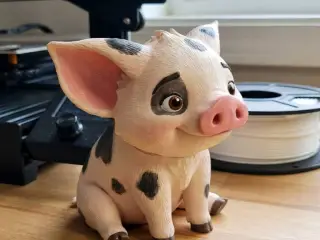 Pua moana