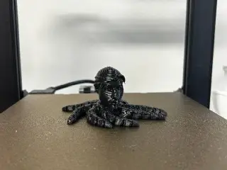 2pactupuss