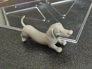 Dachshund mini