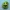 Clicker di Oogie Boogie