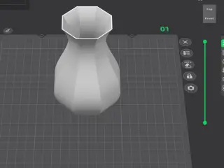 Elegant Decorative Vase