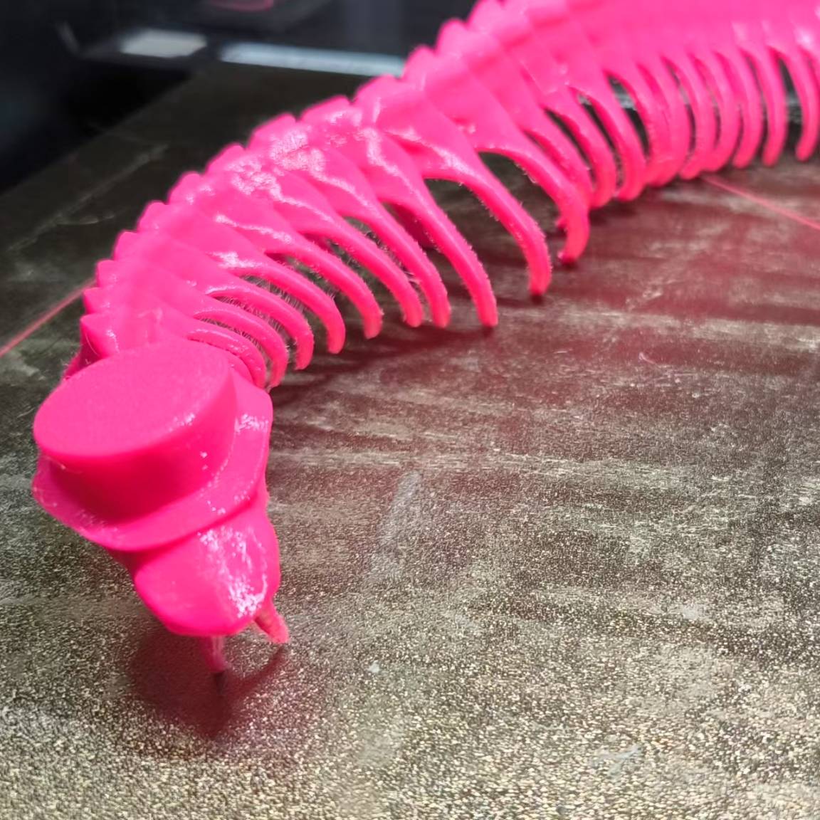 Home print settings: Articulated Snake Skeleton With Top Hat.3mf