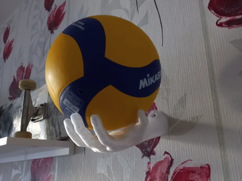 Wall mount ball holder Hand