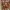 Poster di Fallout Hugeforge 2Wx3H 400w x 600h