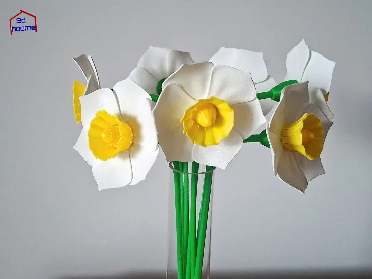 Narciso