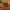 Halloween 2026 Photo Frame