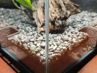 Aquarium corner cave