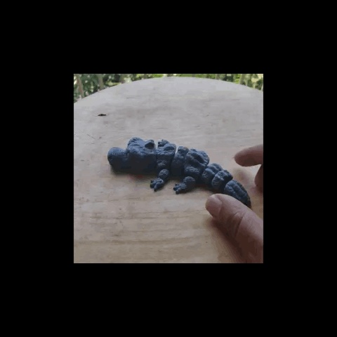 FleXiクロコダイル