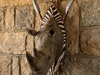 rhinoceros head wall