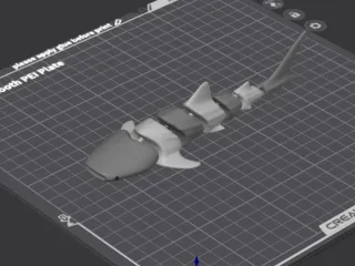 ArticulatedWhaleShark