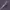 Levensgroot Pure Nail Zwaard (Hollow Knight / Silk Song)