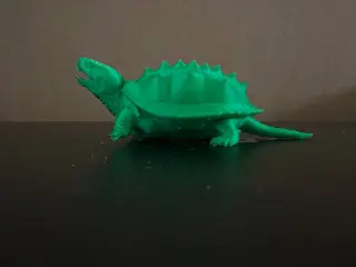 Snapping Turtle
