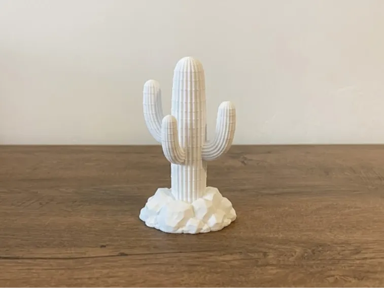 Cactus on Rocky Base - Western Desert Model