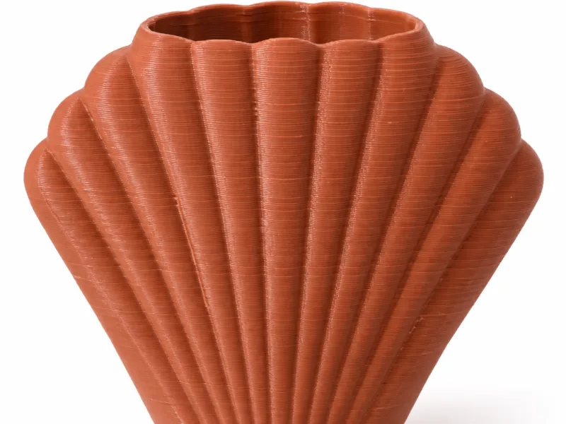 Vaso conchiglia