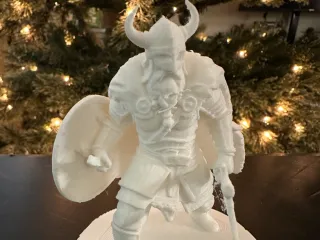 Viking Warrior 1