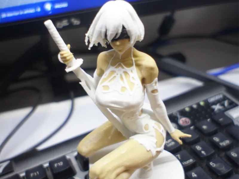 2B - Zen Warrior