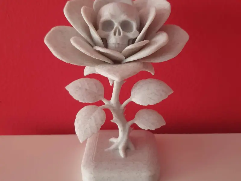 Rosa Calavera.  Skull Rose.