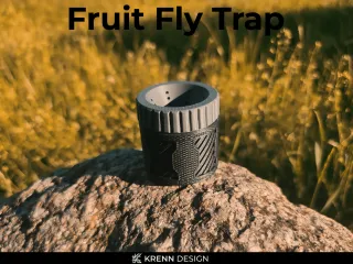 Fruit Fly Trap