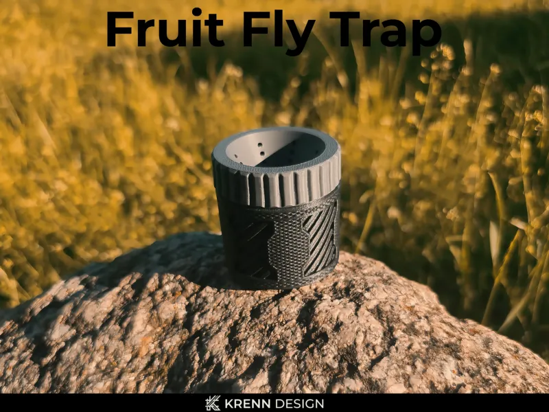 Fruit Fly Trap