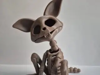 Flexible Cat Skeleton