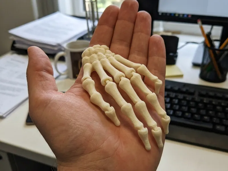 mano scheletrica articolata