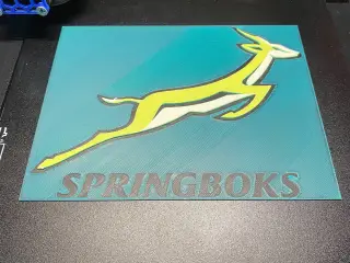Hueforge Springboks Logo