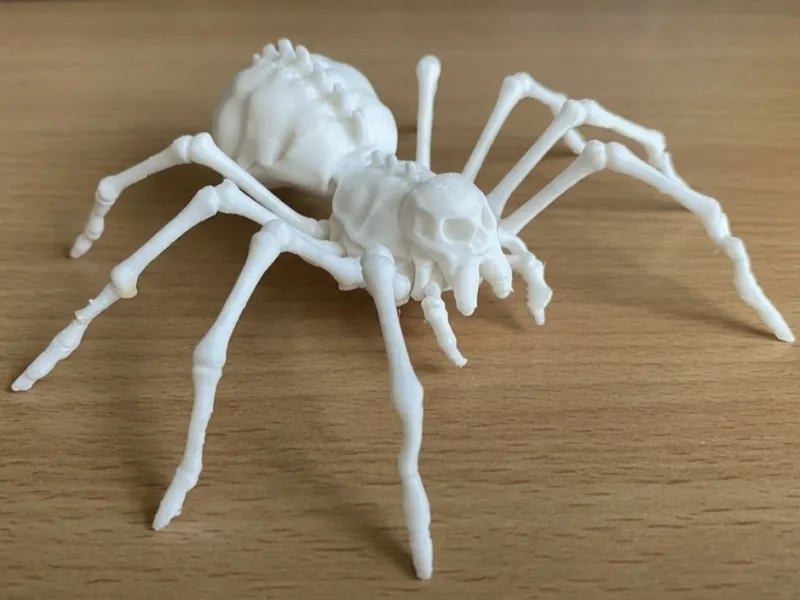 最もリアルなスケルトンスパイダー