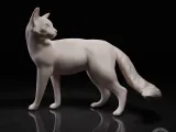 Cat looks back-0