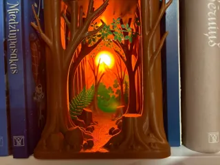 Forest Book Nook