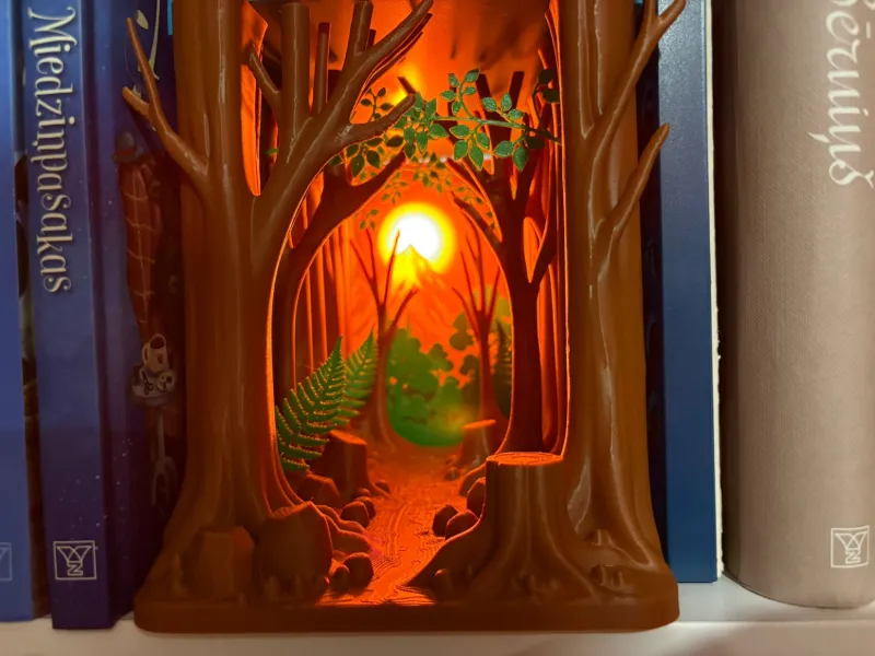 Wald-Büchernische